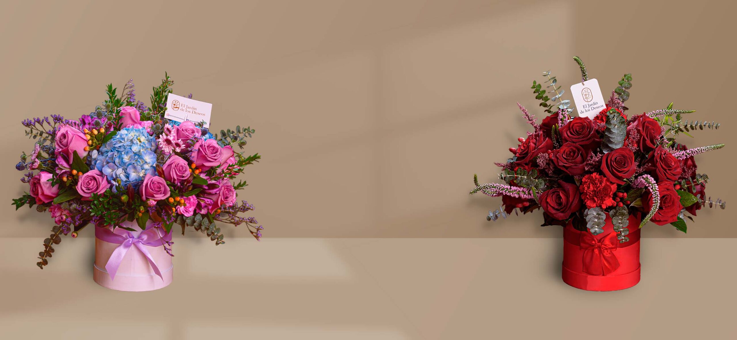 Celebra con color regala felicidad